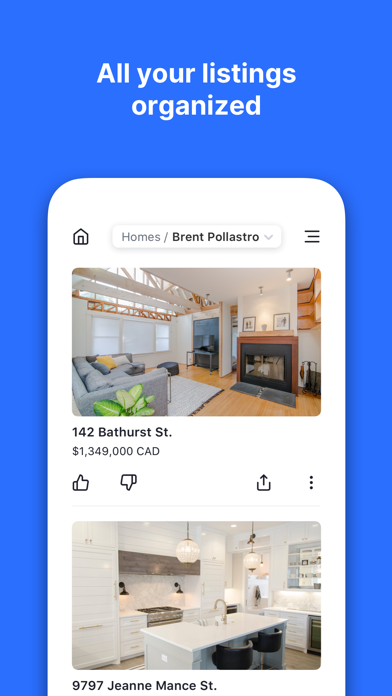Blimp Homes Screenshot