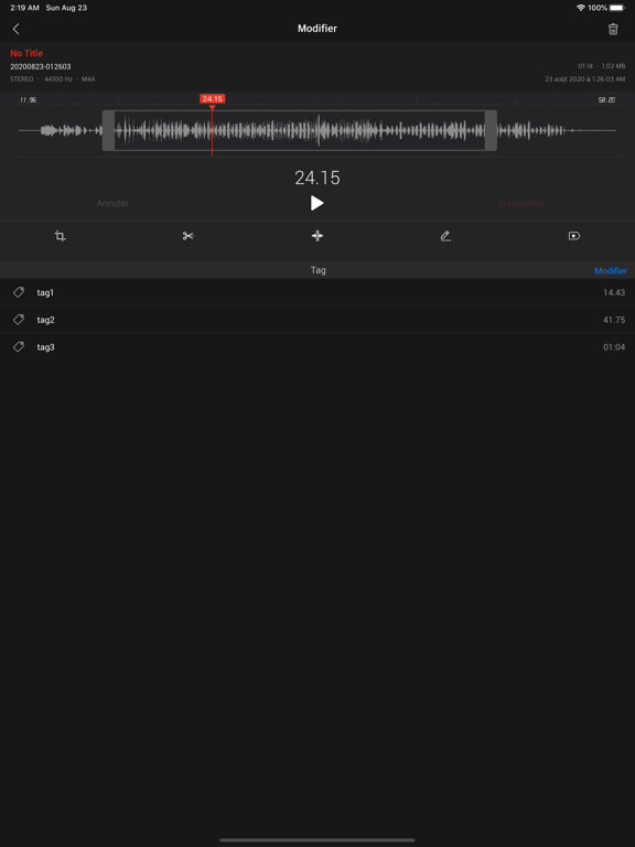 Screenshot #6 pour AVR X PRO - Voice Recorder