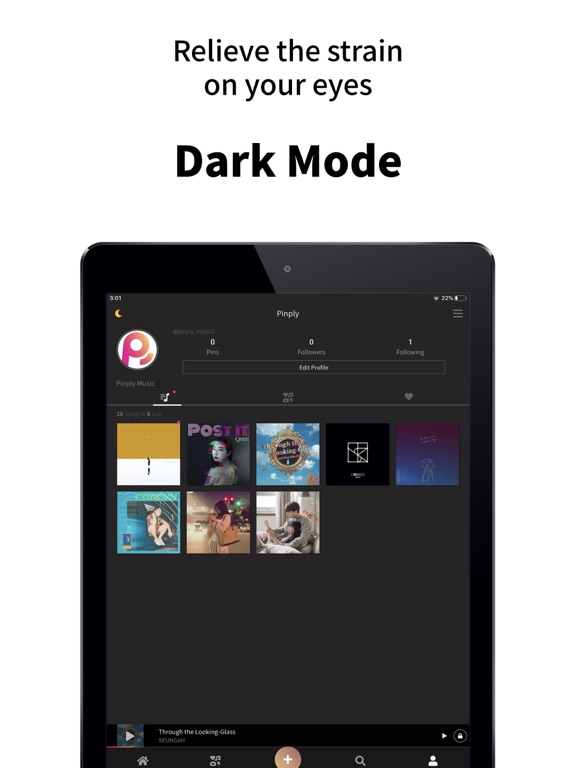Pinply iPad screenshot 6 - Music app
