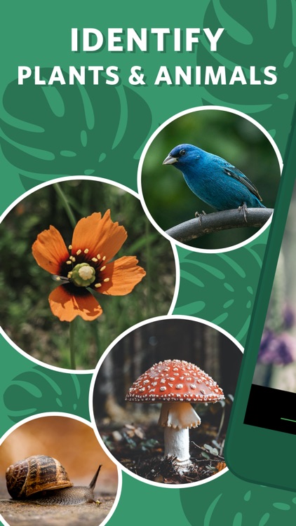 Seek by iNaturalist screenshot-0