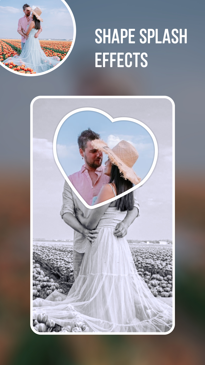 Color Pop Photo Splash Effects