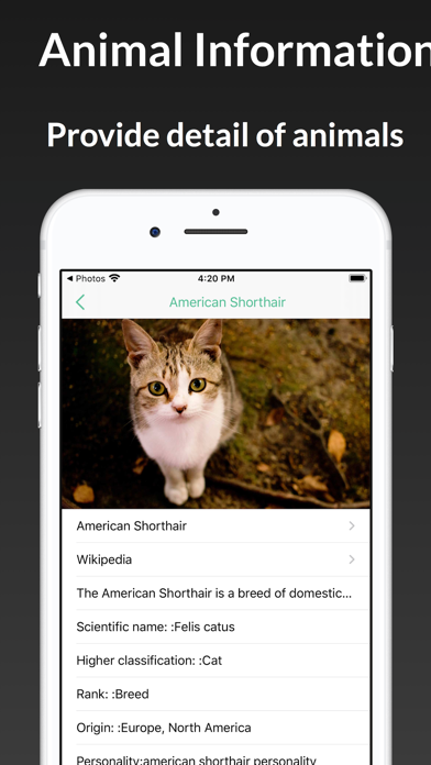 ianimal - animal Identifier Screenshot