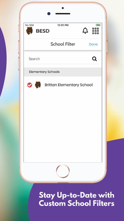 Brittan School District