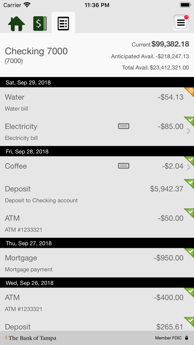 The Bank of Tampa Commercial Screenshot