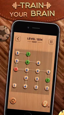 Game screenshot ConnectDoku: Lines Dots Puzzle hack