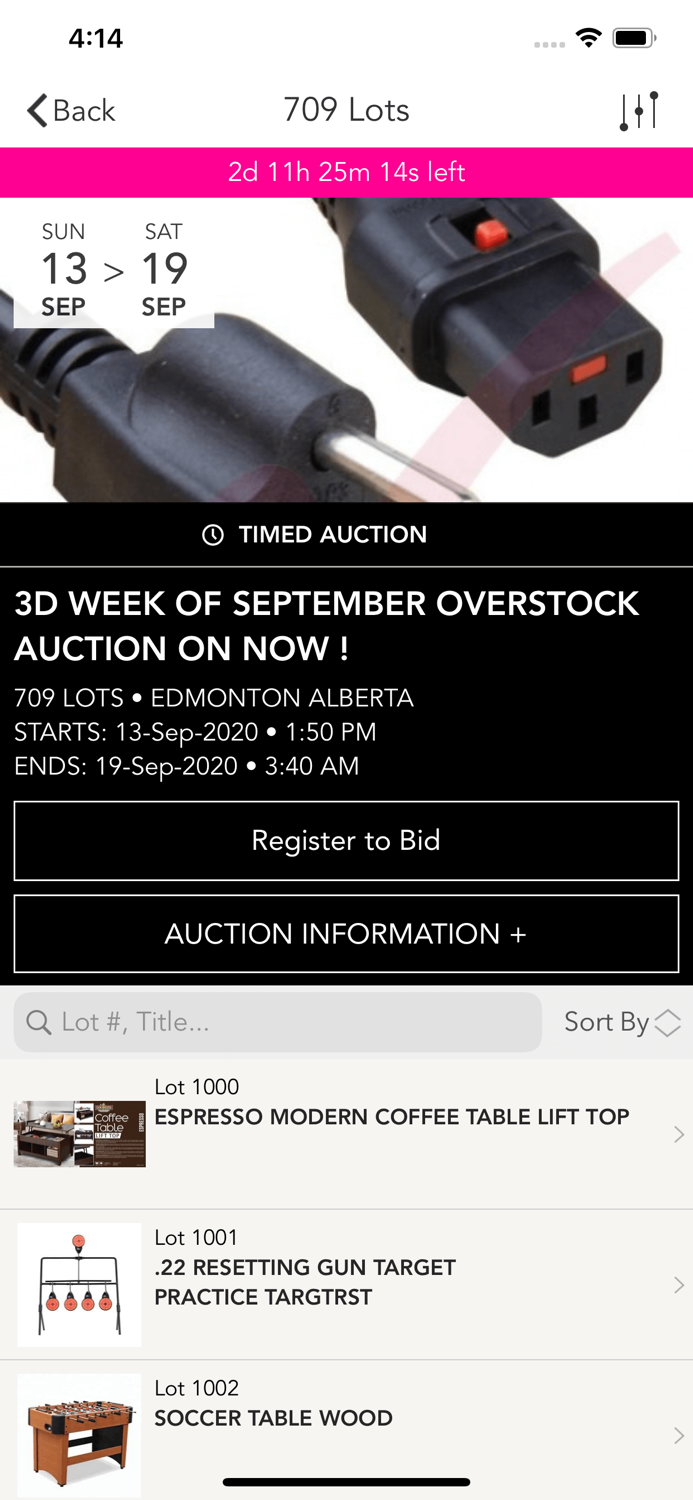 Mega Savers Auction