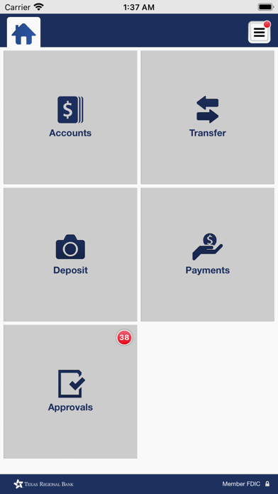 Texas Regional Bank Business Screenshot