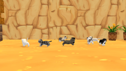 My Lovely Kitty Cat Screenshot