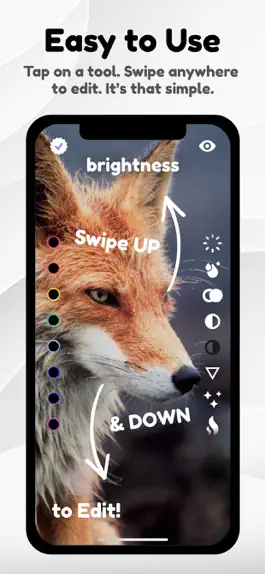 Game screenshot PHOVO - Photo & Video Editor apk