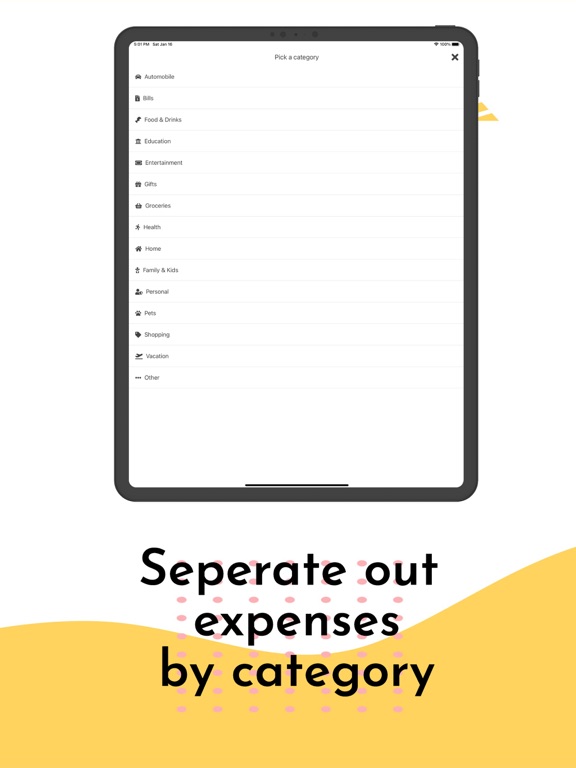 Bdgt - Money Tracking iPad screenshot 4 - Finance app