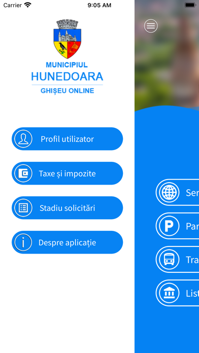 Municipiul Hunedoara Screenshot