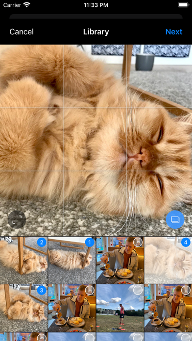 Wow GIF Maker Screenshot 2 - AppWisp.com Wow GIF Maker Screenshot 2 - AppWisp.com