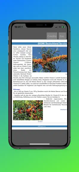 Game screenshot GMagazin apk