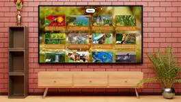 Game screenshot Relaxing Nature mod apk