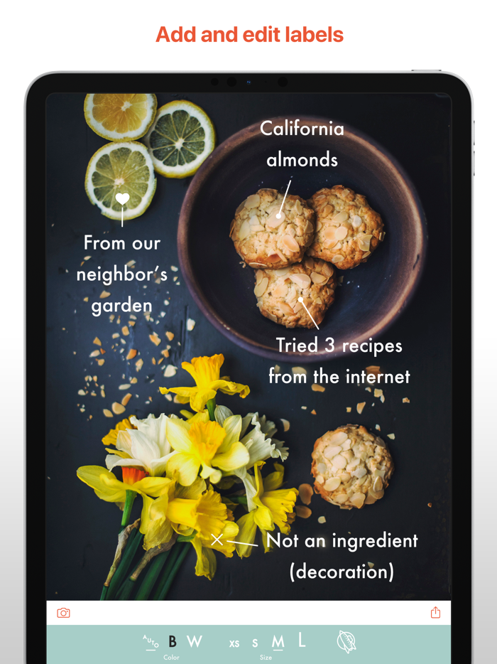 This Simple Photo Annotation