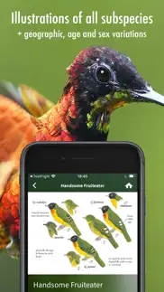 How to cancel & delete all birds venezuela - guide 3