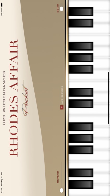 Rhodes Affair Pocket