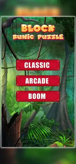 Game screenshot Block Runic Puzzle mod apk