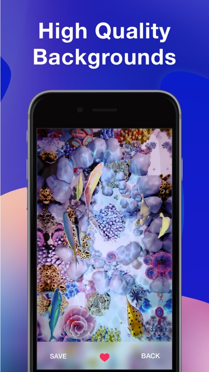 Wallpapers º