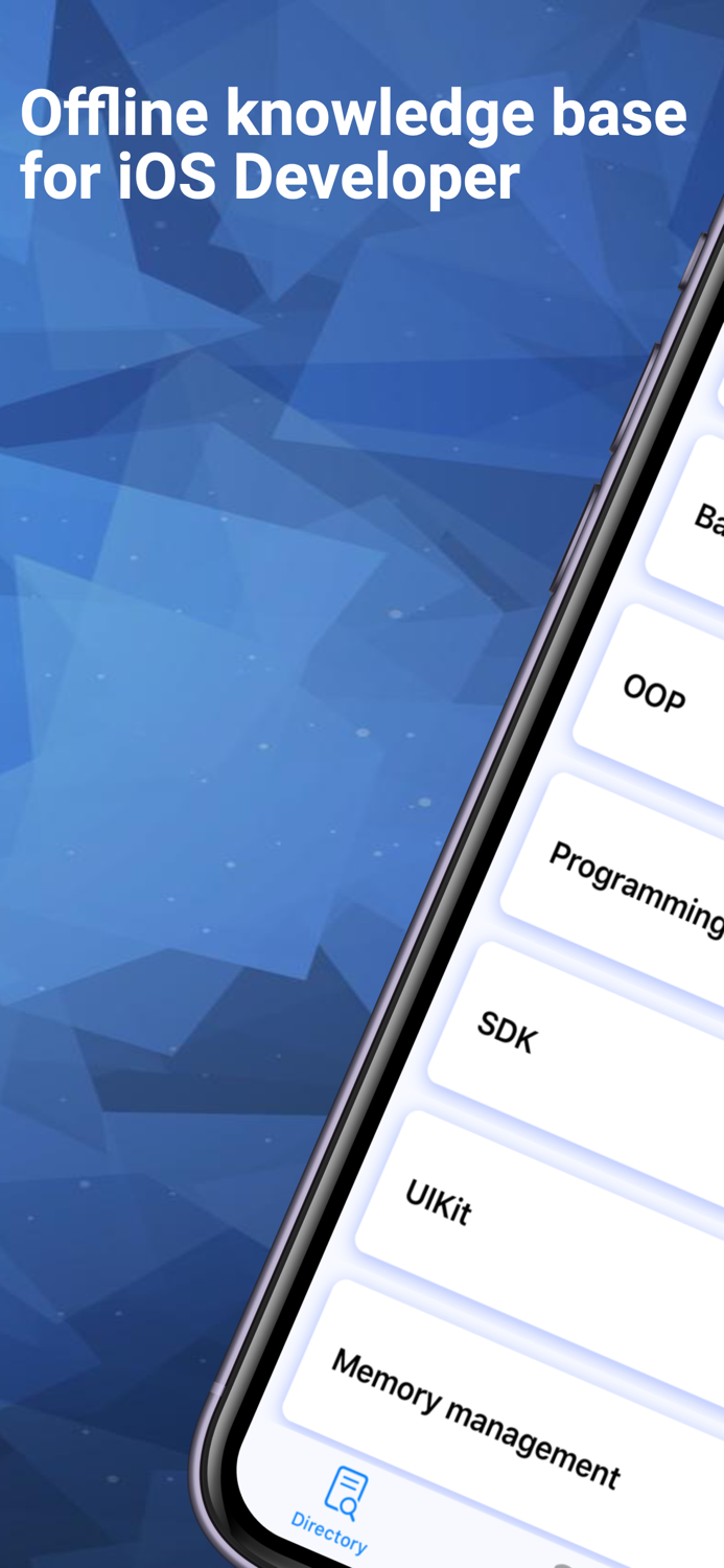 Developer Knowledge Dictionary