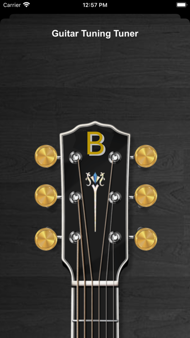 Screenshot #3 pour Guitar Tuning Tuner