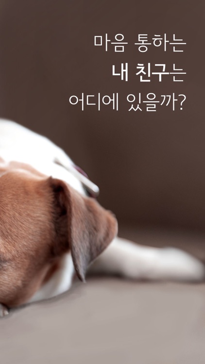 마이리틀패밀리