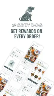 the grey dog app iphone screenshot 1