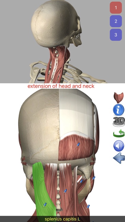 Visual Anatomy screenshot-9