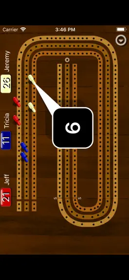 Game screenshot Cribbage Pegboard apk