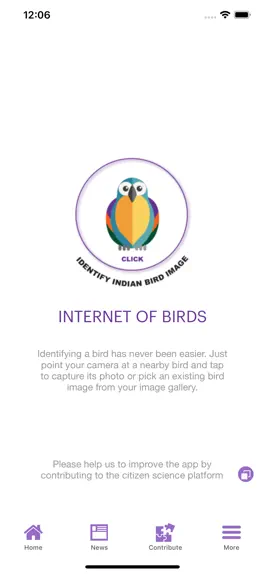 Game screenshot Internet of Birds mod apk