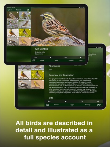 All Birds UK - the Photo Guideのおすすめ画像4