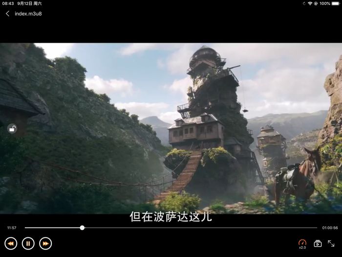 YYPlayer - 4倍速播放器