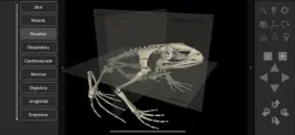 Game screenshot 3D Frog Anatomy apk