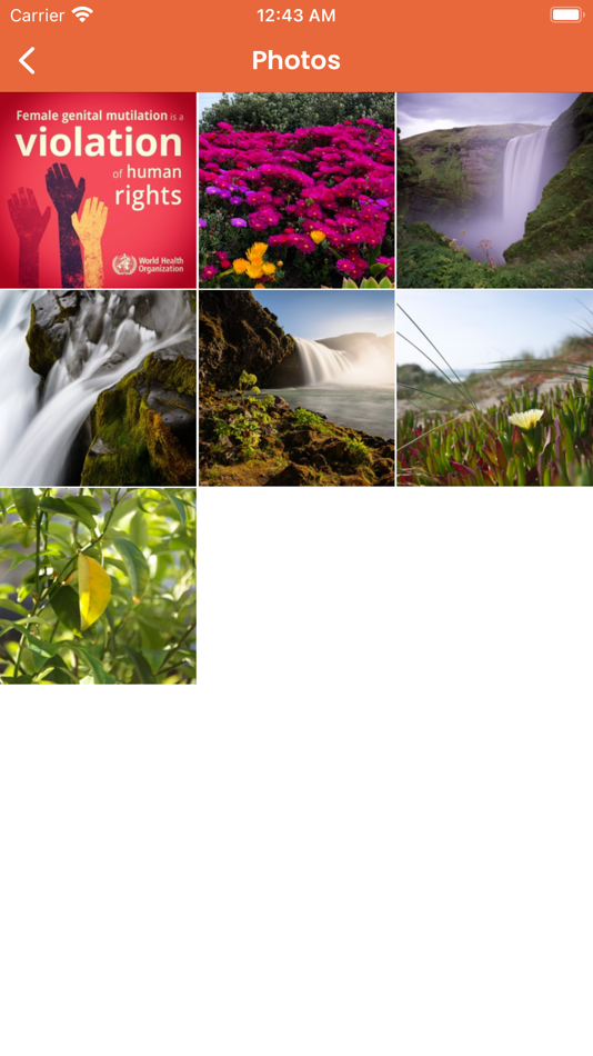 #3. JPEG PNG Image Converter (iOS) 게시자: Mustafa Yasin Senturk