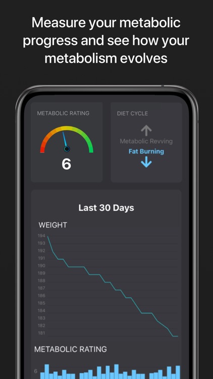 MetPro Basic screenshot-6