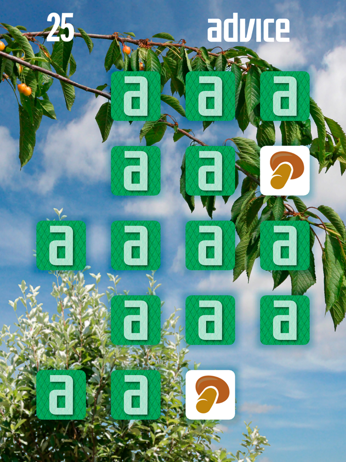 Advice3D match a pair game