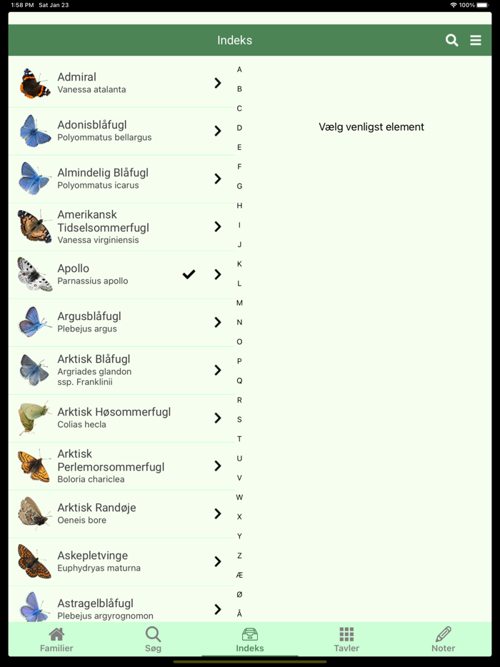 Nordeuropas dagsommerfugle