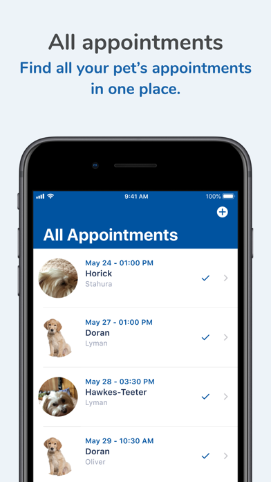 Brandon Lakes Animal Hospital Screenshot