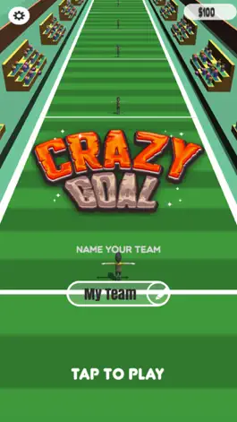 Game screenshot Ultimate Crazy Goal mod apk