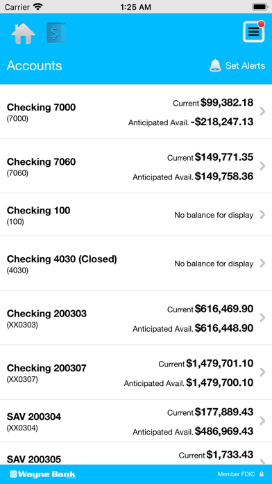 Wayne Bank Business Screenshot