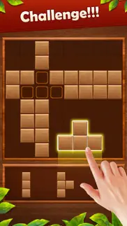 wood block puzzle deluxe iphone screenshot 3