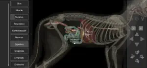 3D Cat Anatomy screenshot #10 for iPhone