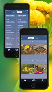 butterfly id - uk field guide problems & solutions and troubleshooting guide - 3