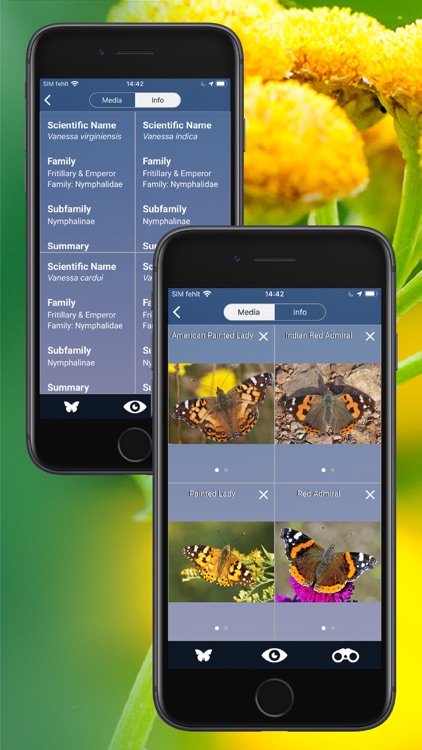 Butterfly Id - UK Field Guide screenshot-5