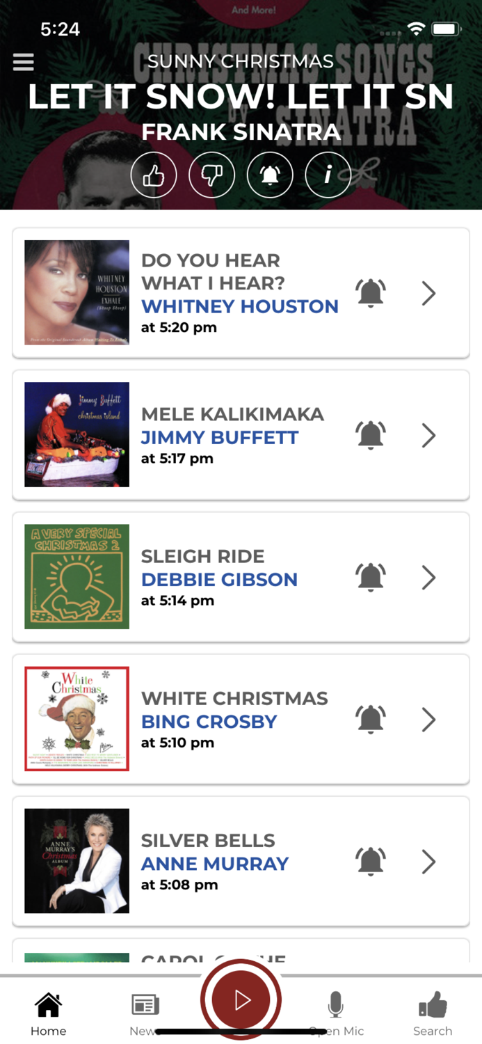 Sunny Christmas Music