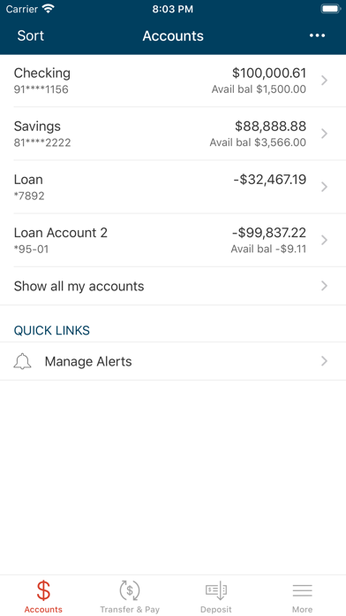 NAE Federal Credit Union Screenshot