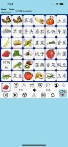 Chinese Words 4 Beginners - PE screenshot #2 for iPhone