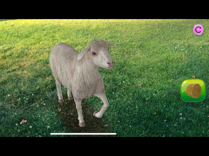 AR Petting Zoo 2