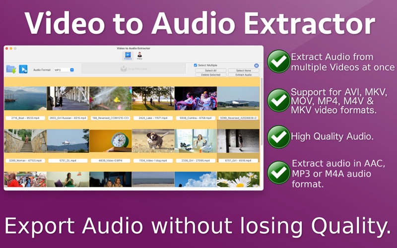 Screenshot #1 pour Video to Audio Extractor