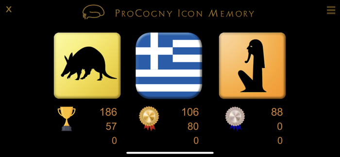 IMAGE MEMORY by ProCogny